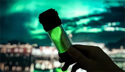 Outdoor Mosquito Killing Lamp Power Torch: Your Essential Camping Companion